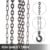 CHAMPION 1 Ton Chain Pulley Block 1T3M - Image 3
