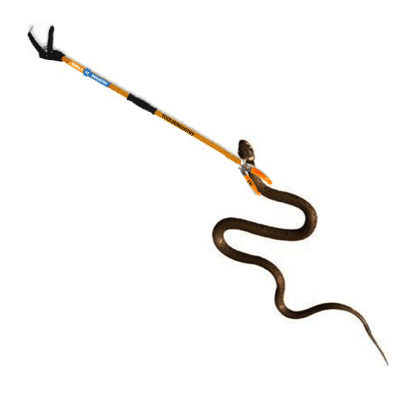 FALCON Snake Catcher Stick 4 Feet FPSC-44