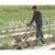 STIHL Power Weeder 40 CC BC-230 - Image 4