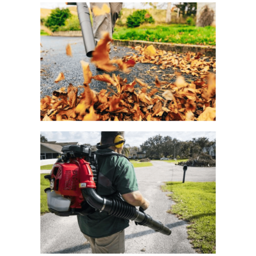 LEO 63CC 3.2 HP Petrol Backpack Leaf Blower Machine EB-650 - Image 4