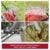 REALLY 12 Teeth Manual Seeder Machine RAPL-MS-12T - Image 4