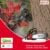 RBD Chainsaw 62CC 4.8 HP 22 Inch with Powerful Petrol Engine RBD-CH-62 - Image 3
