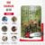 RBD Chainsaw 62CC 4.8 HP 22 Inch with Powerful Petrol Engine RBD-CH-62 - Image 5